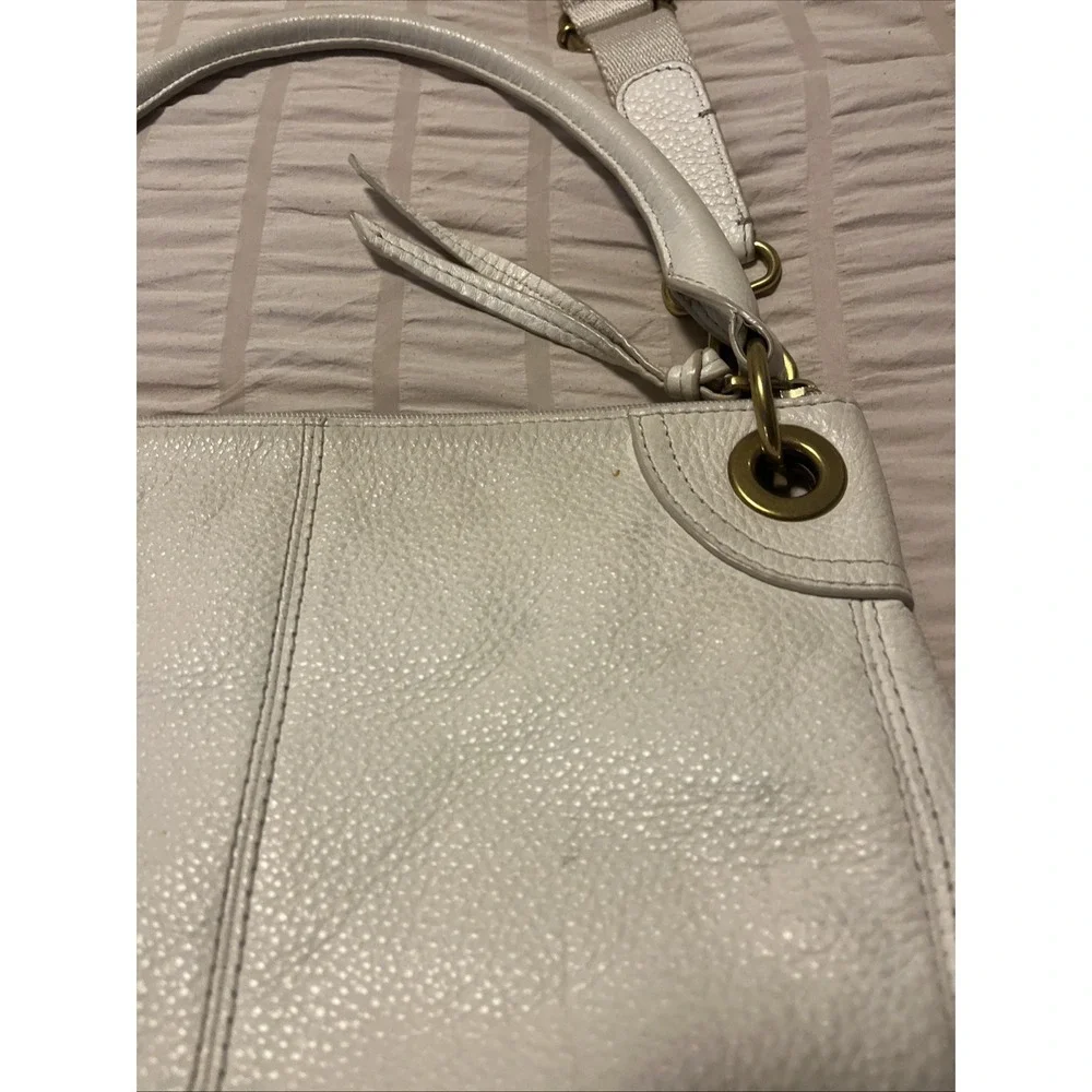 Fossil exterior needs